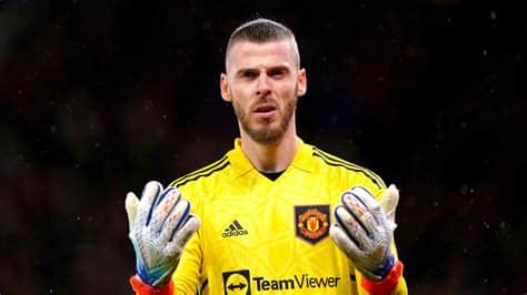 Write informative laconic excerpt under 30 words in mexican spanish for news below. Do not wrap it into quotation marks or html tags. Aug 9, 2024, 03:32 PM ETFormer Manchester United goalkeeper David de Gea has joined Fiorentina as a free agent.De Gea, 33, has put pen to paper on a one-year contract with the Serie A side, with an option to extend it for a further season.The former Spain international has been without a club since leaving United last summer. De Gea had been offered a contract extension to continue at Old Trafford but opted to end his 12 year stint at the club.Since then, the former Atlético Madrid player has received a host of offers from clubs in Europe and the Saudi Pro League. He drew interest from Genoa before eventually opting to join Fiorentina, who finished eighth in the Serie A last season.De Gea made 545 appearances for United and was part of the team that won the Premier League title in 2013 under Sir Alex Ferguson. During his time at Old Trafford, he also won the FA Cup, the Europa League and two Carabao Cups. ,El ex portero del Manchester United, David de Gea, se une a la Fiorentina como agente libre, firmando un contrato de un año con opción a extenderlo.