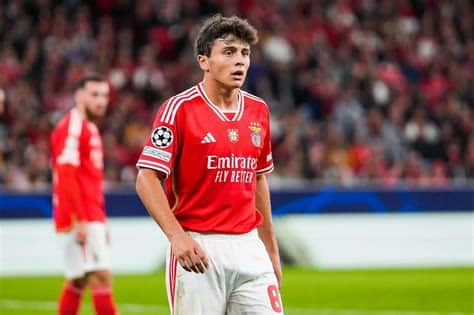 Write informative laconic excerpt under 30 words in mexican spanish for news below. Do not wrap it into quotation marks or html tags. Aug 2, 2024, 06:57 AM ETParis Saint-Germain have completed the transfer of teenage midfielder João Neves from Benfica.Neves, 19, has signed a five-year deal with the Ligue 1 champions after passing a medical.The Portugal international becomes PSG&apos;s second summer reinforcement following the arrival of Russian goalkeeper Matvey Safonov from Krasnodar.João Neves featured for Portugal at Euro 2024. Pablo Morano/BSR Agency/Getty ImagesThe highly coveted Neves recently competed for his country at Euro 2024.He joins PSG for a reported fee of €60m ($64.9m) plus €10m in add-ons.Neves progressed through the youth ranks at Benfica before making his senior debut for the side in January 2023.He made 55 appearances across all competitions for Benfica last season.At PSG, Neves will join fellow Portuguese players Gonçalo Ramos, Vitinha, Nuno Mendes and Danilo Pereira. ,Paris Saint-Germain ficha a la prometedora estrella João Neves, de 19 años, del Benfica por €60m más €10m en bonificaciones. Añade calidad al campeón de la Ligue 1.