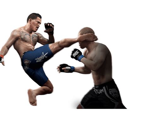 Top 5 UFC Rivalries In History