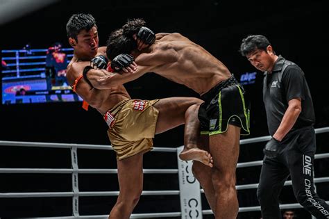 Controversial DQ in Muay Thai: Illegal Soccer Kick Halts Fight