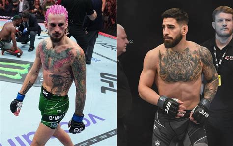 Sean O’Malley Hails Ilia Topuria’s Power with Bold Comparison to Alex Pereira after UFC 308 Knockout