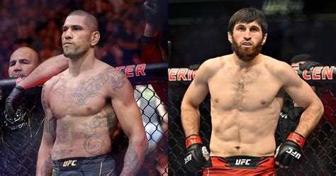 ‘He Knows How to Give Up’ – Magomed Ankalaev Mocks Alex Pereira with Brutal Compilation of His Losses