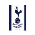 Write informative laconic excerpt under 30 words in mexican spanish for news below. Do not wrap it into quotation marks or html tags. playMichallik: Can this win be the catalyst for Tottenham? (2:16)Janusz Michallik and the ESPN FC crew discuss whether Tottenham can build momentum after winning 4-0 over Manchester City. (2:16)Nov 26, 2024, 02:56 AM ETTottenham Hotspur goalkeeper Guglielmo Vicario has undergone surgery after suffering a fractured ankle during Saturday&apos;s 4-0 victory at Manchester City, the Premier League club announced.The 28-year-old Italy international completed the full 90 minutes of the away game Spurs said on Monday he had suffered the injury during the match."We can confirm that Guglielmo Vicario has today undergone surgery for a fracture of his right ankle," they wrote in a statement posted on X."Guglielmo will be assessed by our medical staff to determine when he can return to training. We&apos;re all behind you, Vic."The North London side, who are sixth in the Premier League with 19 points, host Roma in the Europa League on Thursday. ESPN BET is owned and operated by PENN Entertainment, Inc. and its subsidiaries (&apos;PENN&apos;). ESPN BET is available in states where PENN is licensed to offer sports wagering. Must be 21+ to wager. If you or someone you know has a gambling problem and wants help, call 1-800-GAMBLER.Copyright: © 2024 ESPN Enterprises, Inc. All rights reserved. ,Portero de Tottenham Hotspur, Guglielmo Vicario, se sometió a cirugía por fractura de tobillo. Ausente para Europa League.