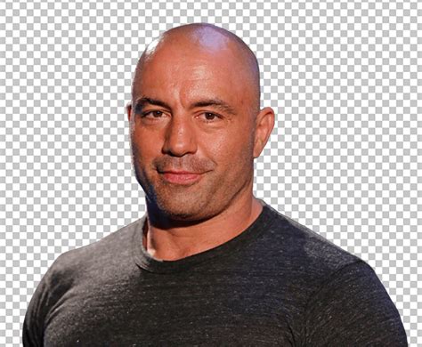 Joe Rogan Steps in During Shavkat Rakhmonov UFC Fight to Help Herb Dean